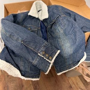 Steve & Berrys shepherd, trim coat